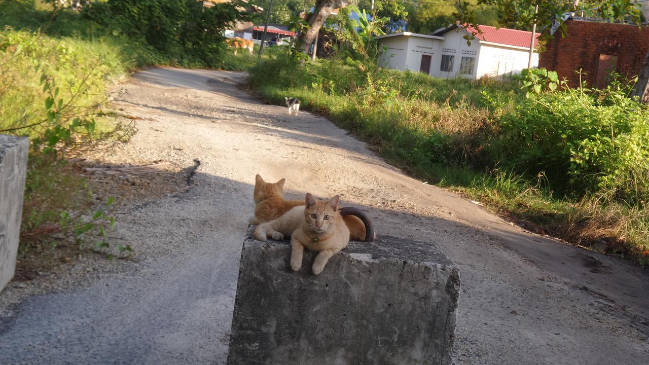 Experience Island Heritage Home Pantai Kok Eksteriør billede